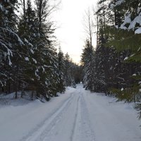 Зимняя дорога 2. :: ВикТор Быстров Зимняя дорога 2. :: ВикТор Быстров