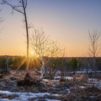 Островки зимы :: Валерий VRN