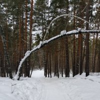 "Шлагбаум" закрыт . :: Мила Бовкун