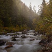 р.Чибитка в утреннем тумане. :: Евгений Голубев р.Чибитка в утреннем тумане. :: Евгений Голубев