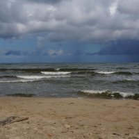 * ~ ~ ~ * :: Алёна Савина