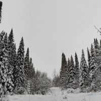 Зима :: Радмир Арсеньев Зима :: Радмир Арсеньев