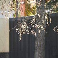 Свет весенний :: Наталья Rosenwasser Свет весенний :: Наталья Rosenwasser