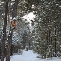 Путь в тишину :: Анастасия 