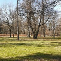 Парк Александрия. Середина марта :: Наталья Герасимова
