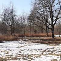 Ещё в полях белеет снег... :: Наталья Герасимова