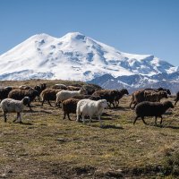 Кавказский променад :: Сергей Сабешкин