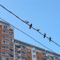 Март в городе :: Андрей Лукьянов