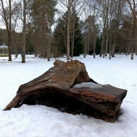 Прогулка в Нарва-Йыэсу :: Veera V