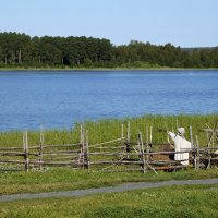 *** :: Любовь Сахарова