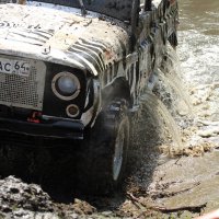 Вынырнул :: Олег Денисов