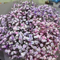 Букет на 8 марта :: Наталья (ShadeNataly) Мельник