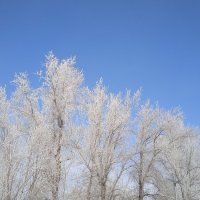 март :: Елена Шаламова