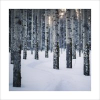 * :: Александр Иванов