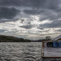 Аблакетка :: Дмитрий 