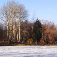 ВЕСЕННЕЕ :: Виктор Никитенко