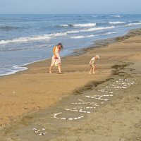 На память о Сахалине :: ИРЭН@ .