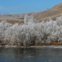 А здесь морозец пошалил. :: nadyasilyuk Вознюк