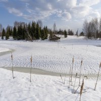 Весеннее пробуждение :: Сергей Ц