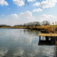 Весна. :: Владимир 