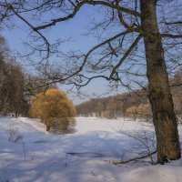 Март в Царицыно... :: Владимир Жданов