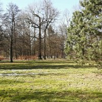 Парк Александрия. Март :: Наталья Герасимова