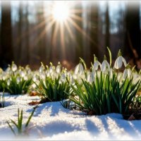 Дыхание весны ... :: Валентина Надсон