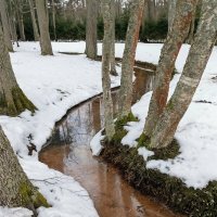 Прогулка в Нарва-Йыэсу :: Veera V