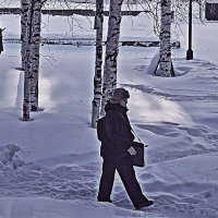 Март...Солнечные пятна на снегу! :: Владимир 