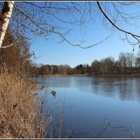 *** :: Aleksandr Gal