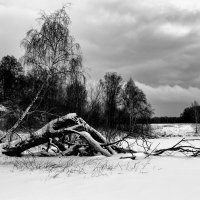 Домик   на окраине :: Владимир Гришин