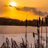 Академические пруды. Москва. :: Александр Никифоров