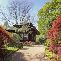 В японском саду :: Андроник Александр 