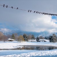 Мороз и солнце :: **** vedin