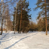 Пейзаж в марте :: Александр Синдерёв