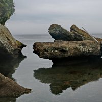 На берегу Татарского пролива. :: Ирина Нафаня