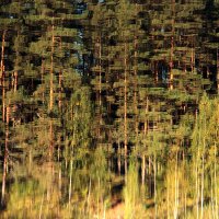 Живопись на водяном холсте :: Сергей Сомихин