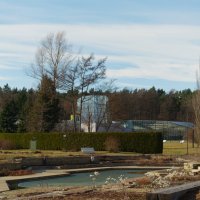 Ботанический сад Таллина :: Aida10 