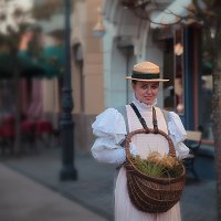 Цветочница :: Valziwa 