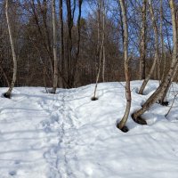 Измайловский парк в марте :: Андрей Лукьянов