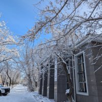 Зима,холода.... :: Андрей Хлопонин