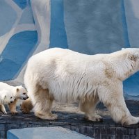 Белый :: SanSan 