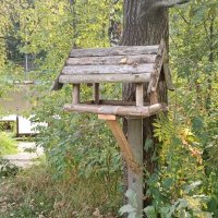 в заповедном лесопарке :: Галина R...