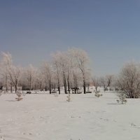 март в летнем парке :: Елена Шаламова