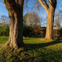 В чём сила, брат? :: Николай Гирш