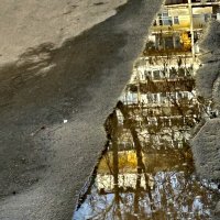 Дорога к дому :: Натали 