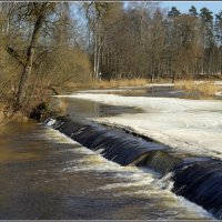 *** :: Aleksandr Gal