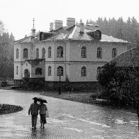 А просто летний дождь идет :: Лариса С.