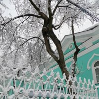 Снежные узоры :: Лариса С.