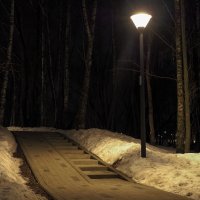 В Вечернем Парке :: юрий поляков